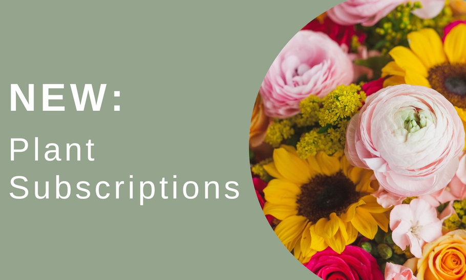 Get your Fall Refresh with our new Plant Subscriptions!