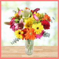 The Summer Breeze bouquet includes mixed stems of eucalyptus, lilies, gerbera daisies, mini calla lilies, and aster! Please note that as flowers are a live product, colors, and varieties may slightly vary from the photos shown to provide you with the freshest and most beautiful bouquet.