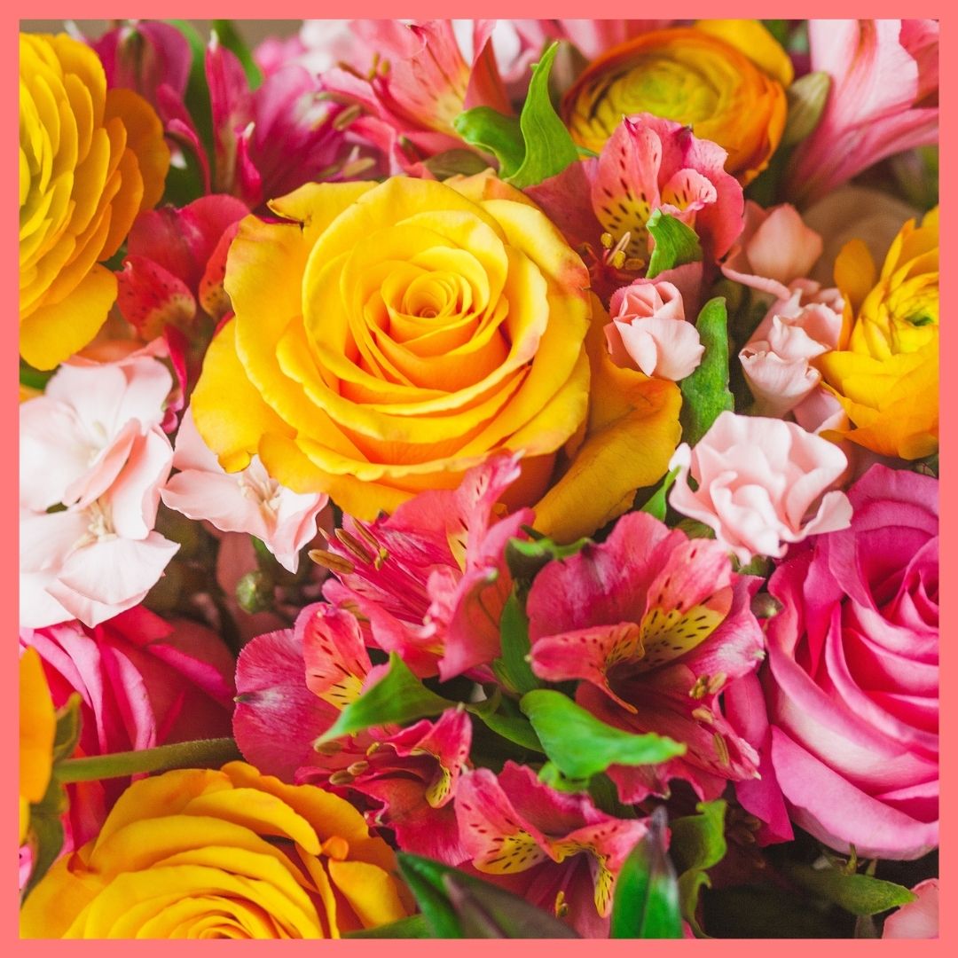 Order the Sahara Sunset flower bouquet. The Sahara Sunset bouquet includes mixed stems of roses, alstroemeria, ranunculus, solomio, and hebes. The flowers will be shipped directly from the farm to you!
